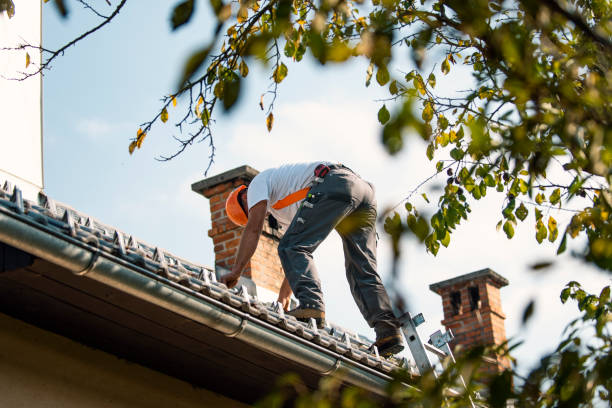 Best Roof Gutter Cleaning  in Lordstown, OH